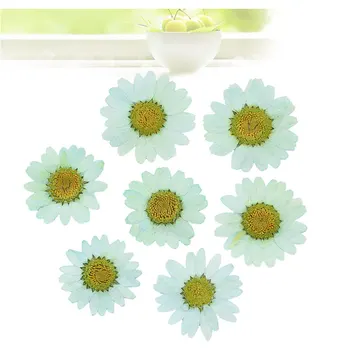45pcs/Set Flori Uscate Decoratiuni de Arta Unghiilor Naturale Daisy Conservate, Uscate Flori Autocolante DIY Accesorii Manichiura de Înaltă Calitate