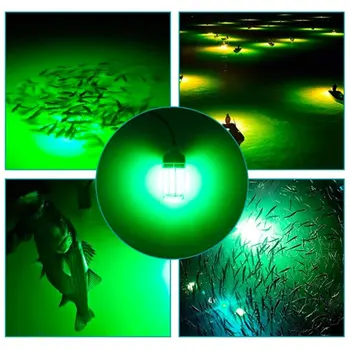 În aer liber Tensiune 12v cu Led-uri Impermeabil Pescuit Lumina Verde de Pescuit de Lumină Led-uri Lampă cu Pești Plută Pescuit Momeală de Pește Lumina