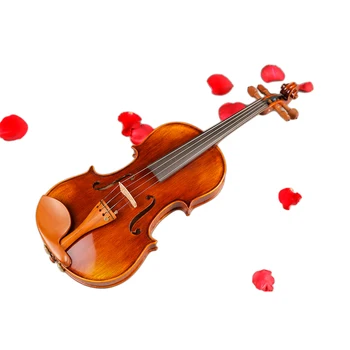 Viori Profesionale, Instrumente cu corzi Vioara 4/4 Naturale Dungi de Arțar Vioara Maestru artizanale Violino cu Cazul Arc pe bază de Colofoniu