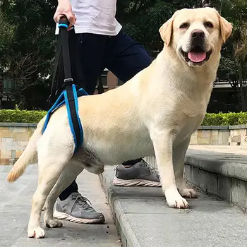 2020 Nou Reglabile de Ridicare Câine Ham pentru Picioarele din Spate Pet Suport Sling Ajuta Slab Picior Stand Up Câini Ajutorul Instrumentul de Asistență
