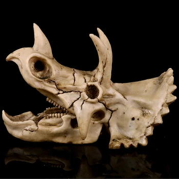 Triceratops Osul Craniului Model Animal Jurassic dragon fosilă de Dinozaur schelet de simulare de animale modelul de predare Cadouri pentru Copii Jucarii