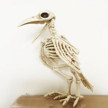 Scheletul Raven Plastic Animale Schelet de Oase pentru Decor de Halloween de Groază