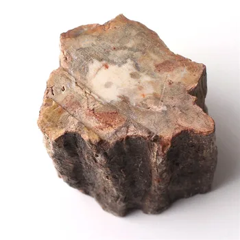1 BUC Naturale, Lemn Pietrificat Fosili Cristal Lustruit Felie Minerale-Specimen de Lemn Fosil Forfetare Sta Cadou