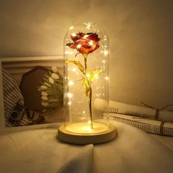 Frumusețea LED-uri a Crescut Lampă de Sticlă Birou de Flori de Lumină Lampă de Noapte Romantică de Ziua Îndrăgostiților Cadou de Ziua Decor ia Alimentat de la Baterie