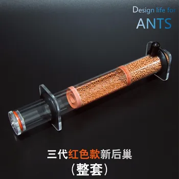 Beton Bionic Cuib de Furnici/Avansat Post Nou-cultura Cuib/25*200 mm Diametru de Bambus Cuib/Ant Acasă