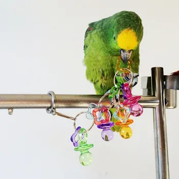 Pasăre, Papagal, Jucării De Ros, Papagalul Perus Lovebird Păsări De Companie Jucării Activități Acrilice Pic De Biberon Musca Jucărie