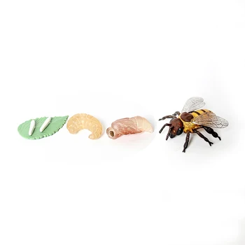 Simulare De Albine Ciclului De Viață Jucărie Set De 4 Piese, Arată Ciclul De Viață Al Unei Albine Model De Figuri Miniaturale Jucarii Educative
