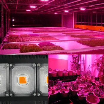 LED-uri Cresc Light 100W, 200W, 300W COB întregul spectru de Lumină de Inundații 400-850nm Impermeabil Fito lampa pentru Plante de Interior Creștere Hidroponice